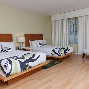 Double Room Two Double Beds