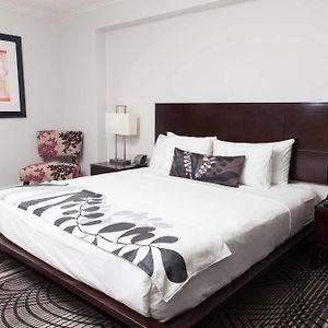King Suite Sofa Bed Lake View